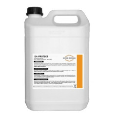 Protection incolore hydrofuge  BA-PROTECTOR SATINE -...