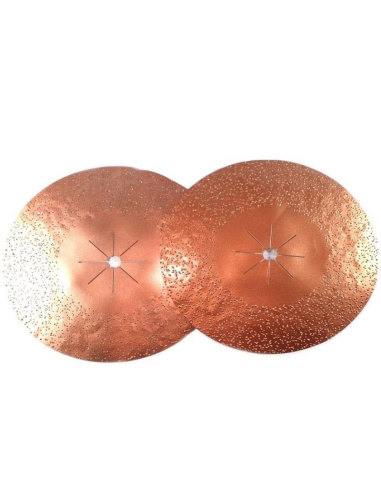 Disque abrasif Tungstène Diam 400x25mm Grain 36...