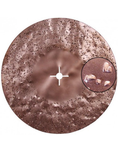 Disque abrasif Tungstène Diam 450mm Grain 16 -...
