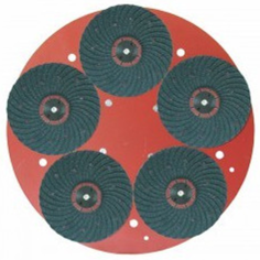 Plateau porte disques équipé (5 disques abrasifs gr 16)...