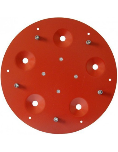 Plateau porte outil pour monobrosse Raimondi...