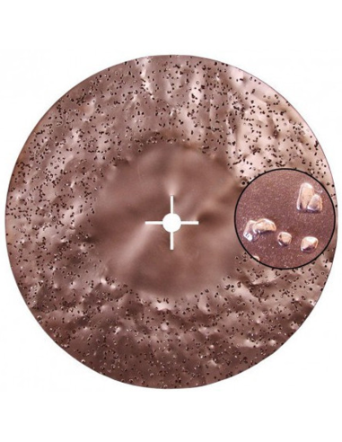 Disque abrasif Tungstène Diam 500mm Grain 36 -...