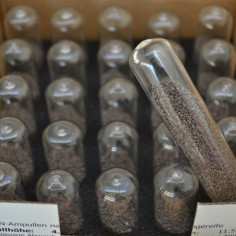 Ampoules pour bombe à carbure - 25 unités