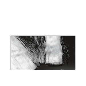 Fibres